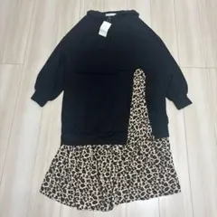 Item thumbnail for item 2d556712-8530-42eb-8789-9e25692b8672