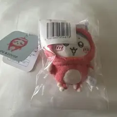 ハチワレイカタコくじ