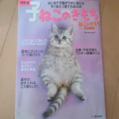 Item thumbnail for item ff0dc974-65d7-4d12-a447-c7e65dad80a9