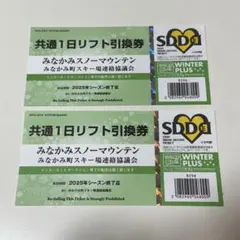 『新品未使用』パウダーぐんま5　20時間券　リフト券 今年からは「POWDER 5 ぐんま」に！共通リフト時間券、共通