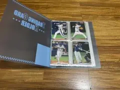カルビー プロ野球 チップスカード　2007年 (中日ドラゴンズ)