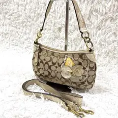 COACH コーチ レオパード ヒョウ柄 オセロット 2way 肩掛け可 y2k