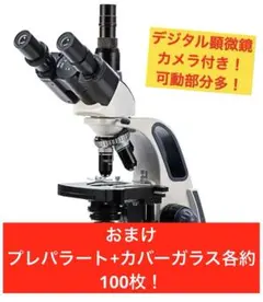 テレビ接続可】超高倍率 血流スコープ 9インチモニター付！ - メルカリ