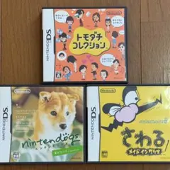 ニンテンドーDS トモダチコレクション　ニンテンドックス　さわる