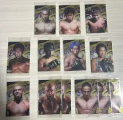 RIZINウエハースカード　13枚セット