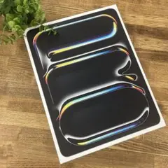 新品未開封 iPad Pro M4 13インチ 256GB ブラック Wi-Fi