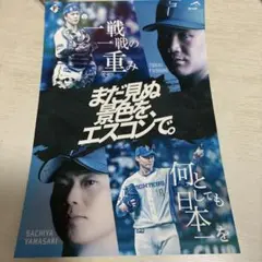ファイターズ ステッカー さちとら