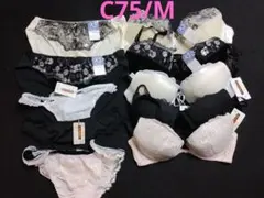 ブラジャーショーツ5セット C75/M