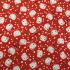 2026年最新】生地 キティの人気アイテム - メルカリ