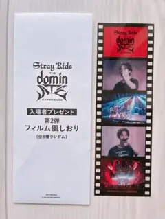 StrayKids 映画 入場者特典 フィルム風しおり クリアファイル リノ
