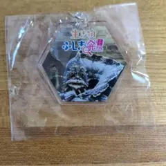水族館 　魚　アクリルキーホルダー　新品未使用未開封のサムネイル