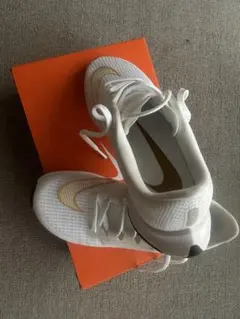 NIKE AIR ZOOM RIVAL FLY 3