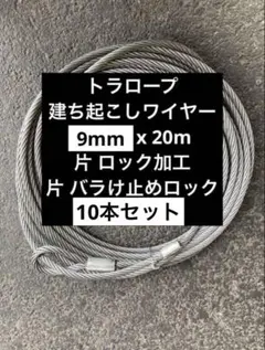 Item thumbnail for item d9a59bc7-7f76-41f6-9c58-03db46e8d287