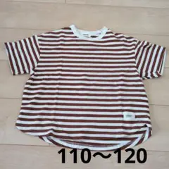GENERATOR ボーダーTシャツ ブラウン 110-120のサムネイル