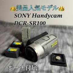 G2301】 SONY Handycam DCR-SR100 シルバー ソニー - メルカリ