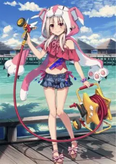 Fate/Grand Order イリヤ 水着　コスプレ衣装