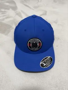 Item thumbnail for item 597f4a45-106e-452b-a41d-cb400f388041