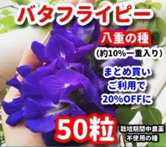 PLUK09様 リクエスト 2点 まとめ商品