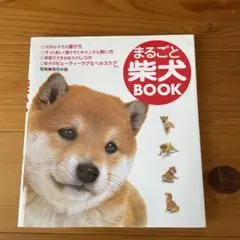 Item thumbnail for item d8b83bdd-88d8-4233-800c-fe7694deb8c3