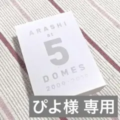 【5月末迄 ぴよ様 専用】嵐5大ドームツアー集大成ライブ写真集