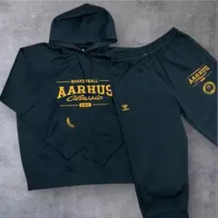 【非売品】Bリーグ名古屋ダイヤモンドドルフィンズ　スウェット上下セット