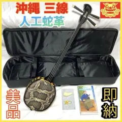 2025年最新】三線 蛇皮の人気アイテム - メルカリ