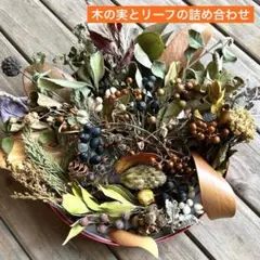 小さな森 木の実とリーフの詰め合わせ ドライフラワー 花材 木の実 素材 リース