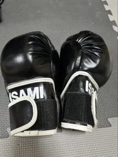 ISAMIイサミパウンドグローブ総合格闘技