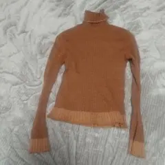 コリーヌサリュー