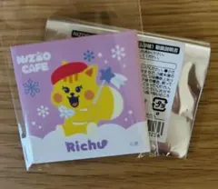 NIZOO ランダムスクエア缶バッジ　リチュ①