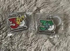 ポケモン 30周年 メタルチャーム マスコット