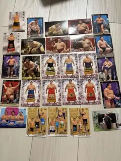 Item thumbnail for item 649df529-49e2-4e50-b0a6-f88bd6a76578