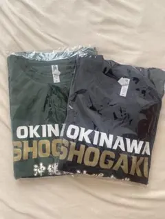 沖縄尚学】2025年 甲子園出場記念Tシャツ3 Lサイズ 沖尚 - メルカリ