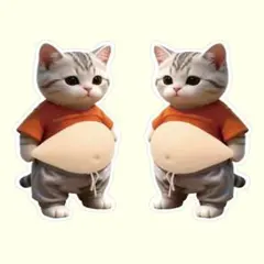 2匹セット おなかぷにぷに 3Dシール 猫 ねこ しろ1105