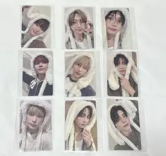 &TEAM ふわふわアニマル トレカ 雪明かり プレサ 9枚 コンプリートセット