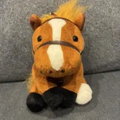第56回有馬記念 オルフェーヴル 単勝馬券 - メルカリ