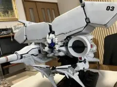 2026年最新】デンドロビウム 1/144の人気アイテム - メルカリ