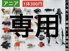 【専用】K. アニア 動物　バラ売り可能　組合せ自由　恐竜　水族館　フィギュア