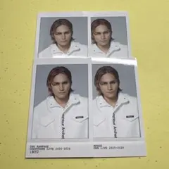 THERAMPAGE 龍 ノーマル ステッカーシール 4枚セット