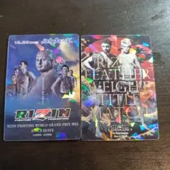 RIZIN ポテトスティック 2枚 No.01 No.23