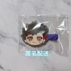 あんスタ みにコレ 前髪クリップ2 南雲 鉄虎