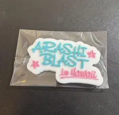 嵐 会場限定 ガチャ 歴代ツアー ロゴマグネット Hawaii カプセル グッズ