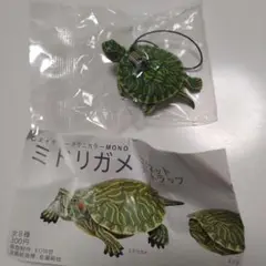 2025年最新】ネイチャー ミドリガメの人気アイテム - メルカリ