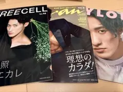 岩本照　雑誌3点　FREECELL vol.46 anan NYLON