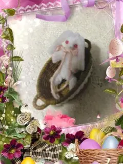 ミニチュアモールうさぎ