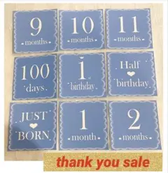 Item thumbnail for item 31b87afa-00ee-4d96-a112-80b0c08fda30