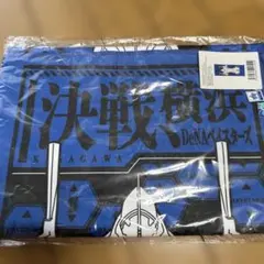 EVANGELION×DeNAベイスターズ ハイブリッドフェイスタオルのサムネイル