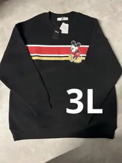 Item thumbnail for item 2887f5ae-5660-40dc-b4ff-14d61372de85