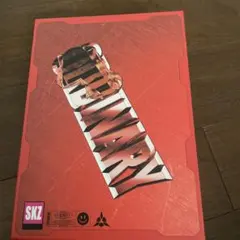 Stray Kids ORDINARY CD