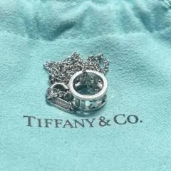【Tiffany & Co. （ティファニー ）リング型シルバーペンダント】のサムネイル